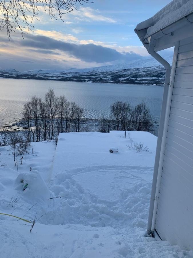 Hakoyveien 151, Tromso Hotel Eksteriør billede