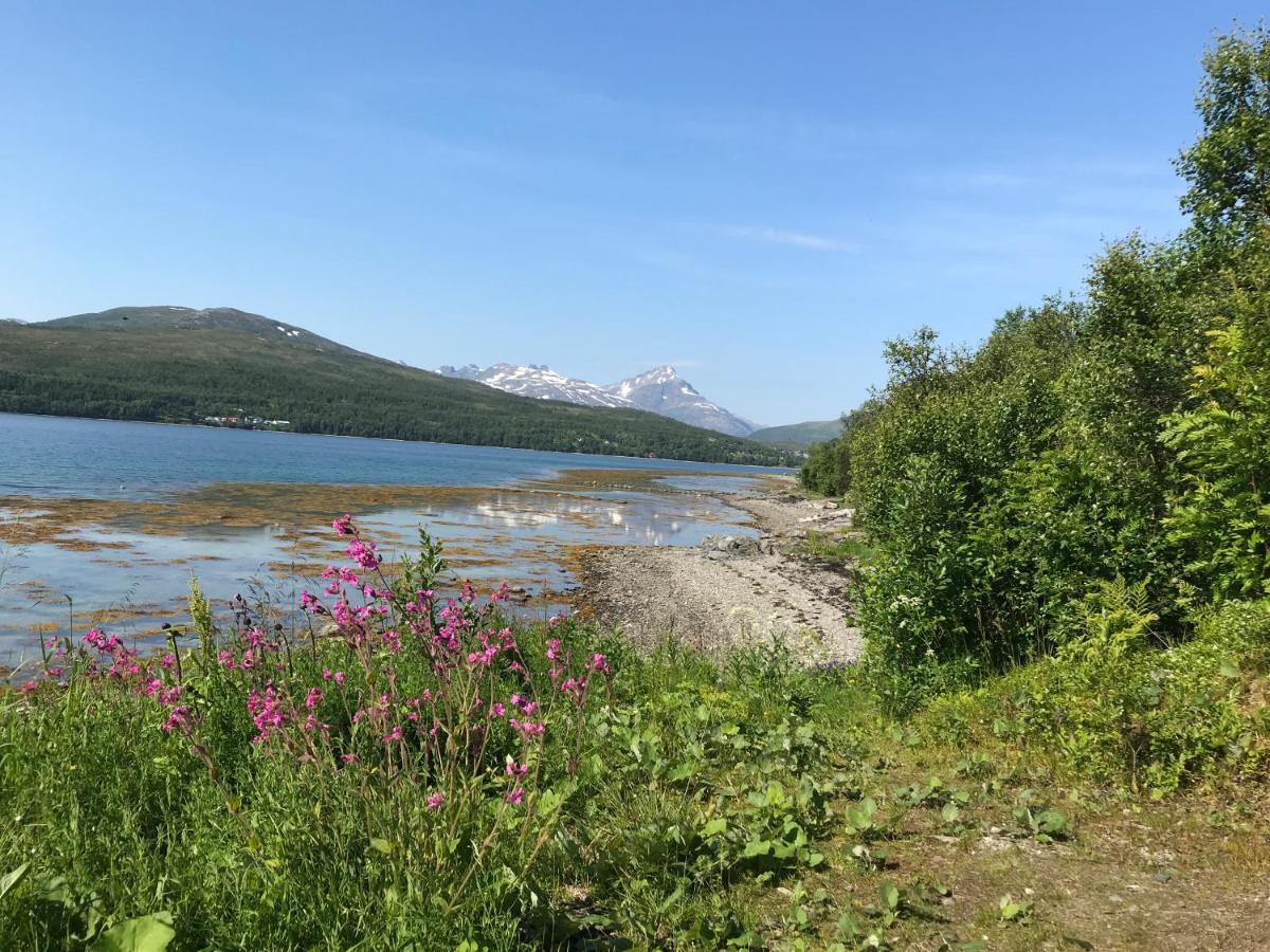 Hakoyveien 151, Tromso Hotel Eksteriør billede