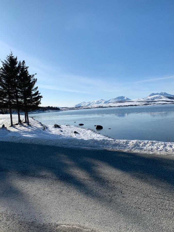 Hakoyveien 151, Tromso Hotel Eksteriør billede