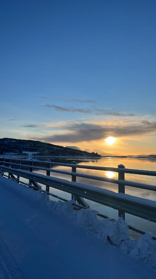 Hakoyveien 151, Tromso Hotel Eksteriør billede