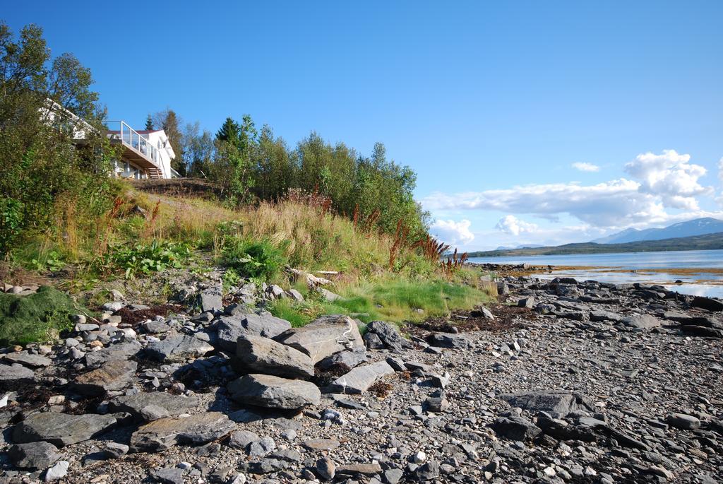 Hakoyveien 151, Tromso Hotel Værelse billede