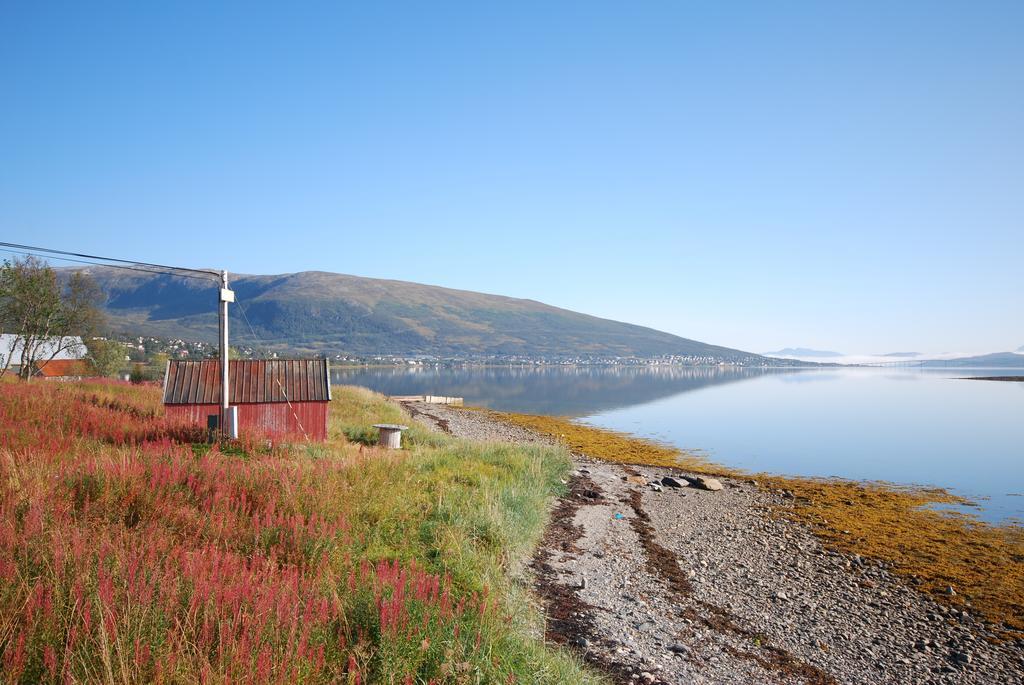 Hakoyveien 151, Tromso Hotel Værelse billede