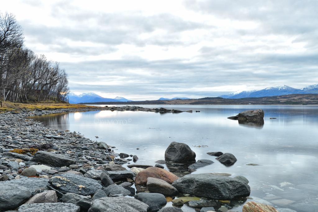 Hakoyveien 151, Tromso Hotel Eksteriør billede